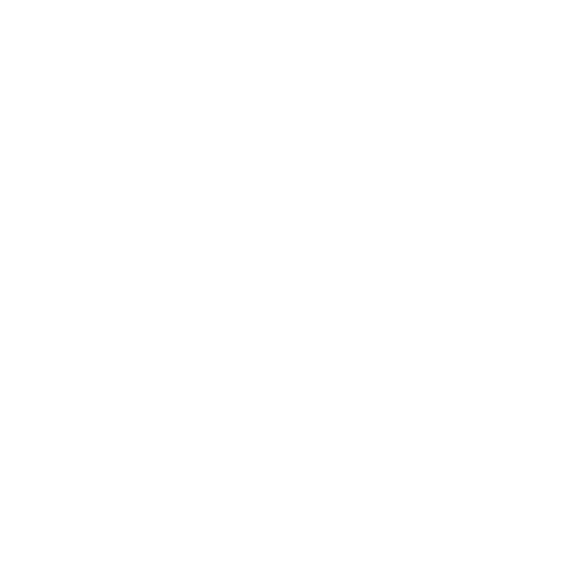 DigitalSheetStudio Logo